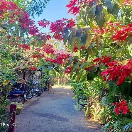 Tribal Village Homestay & Trekking 반룽 외부 사진