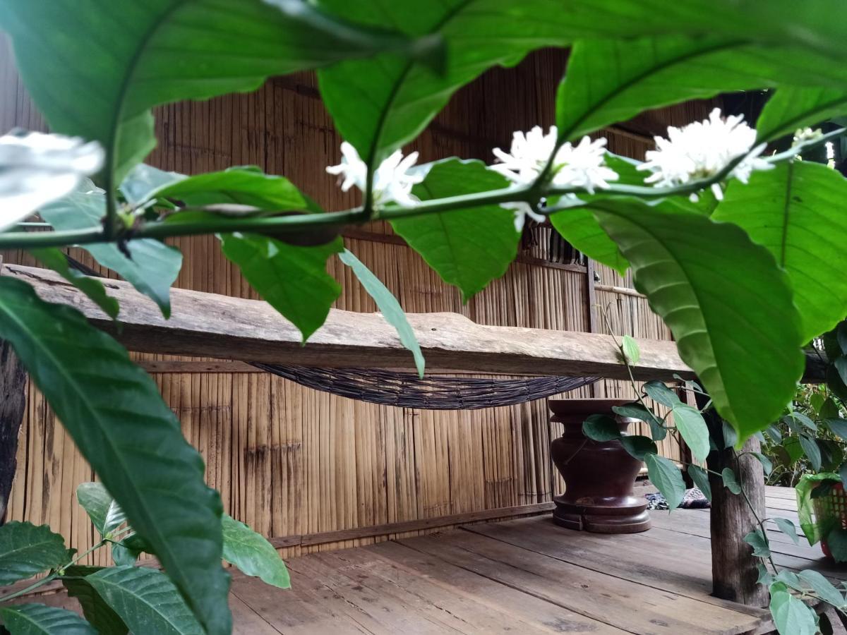 Tribal Village Homestay & Trekking 반룽 외부 사진
