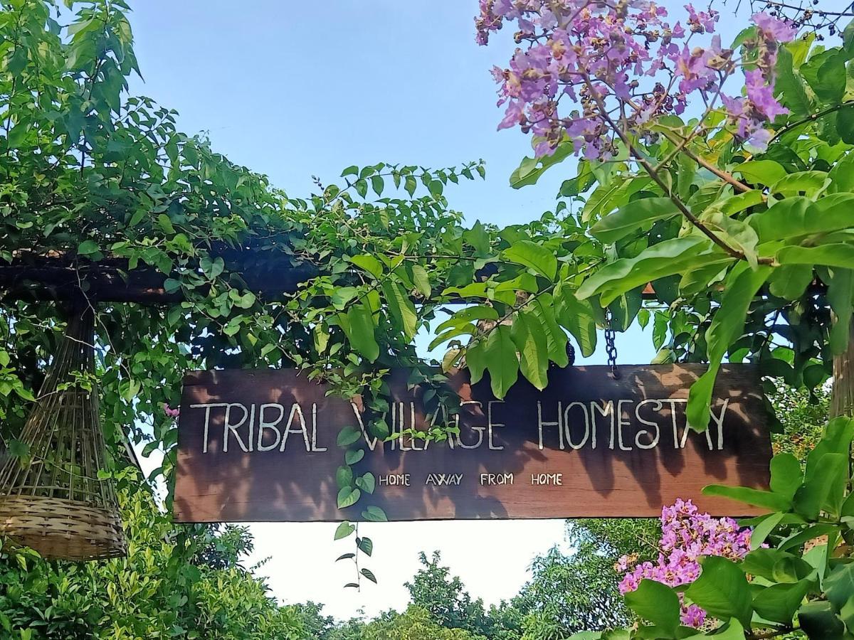 Tribal Village Homestay & Trekking 반룽 외부 사진