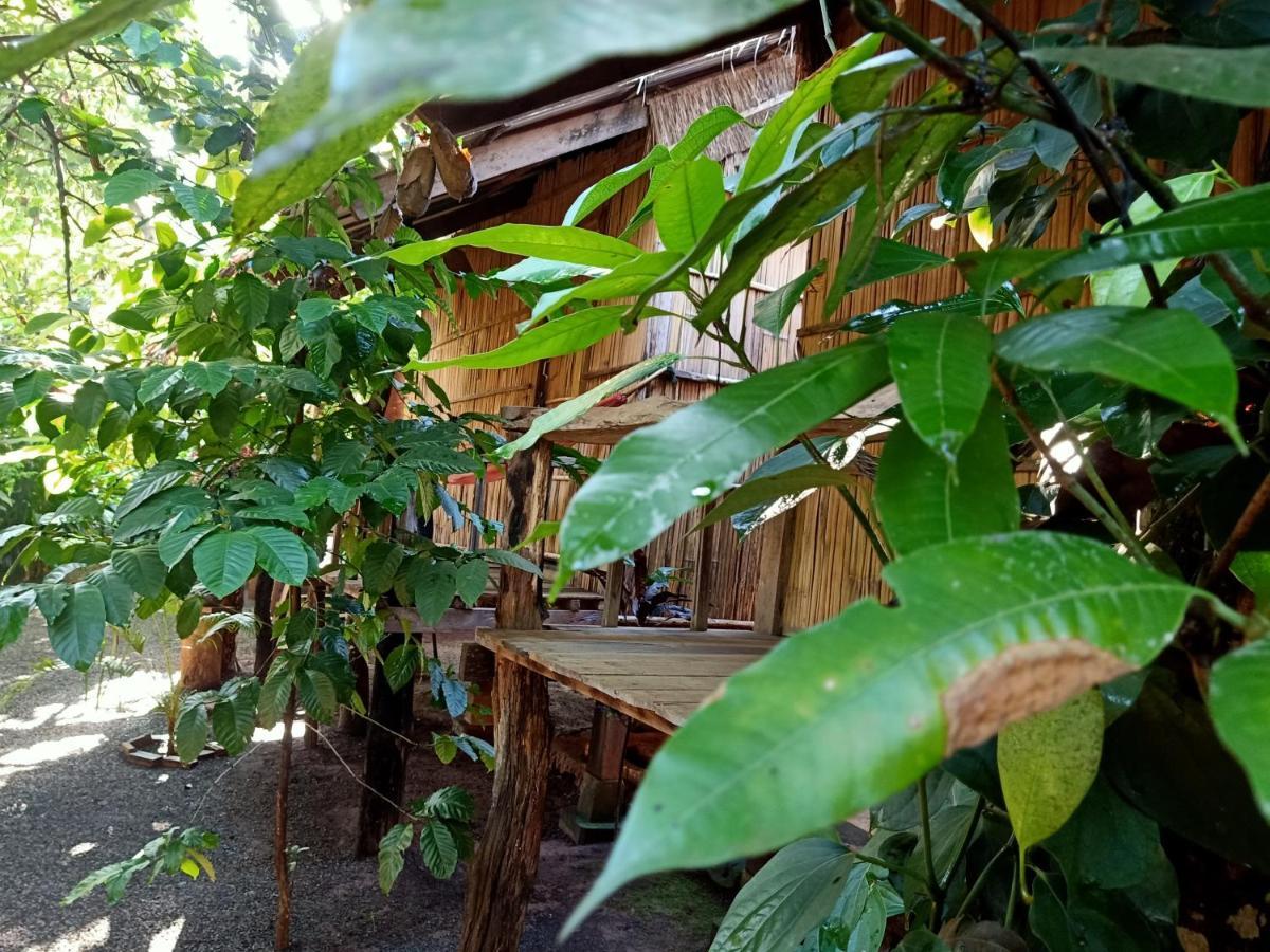 Tribal Village Homestay & Trekking 반룽 외부 사진