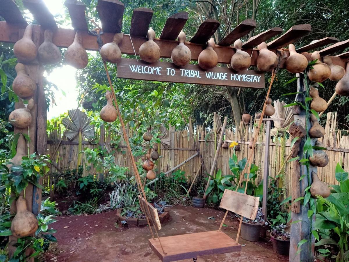 Tribal Village Homestay & Trekking 반룽 외부 사진