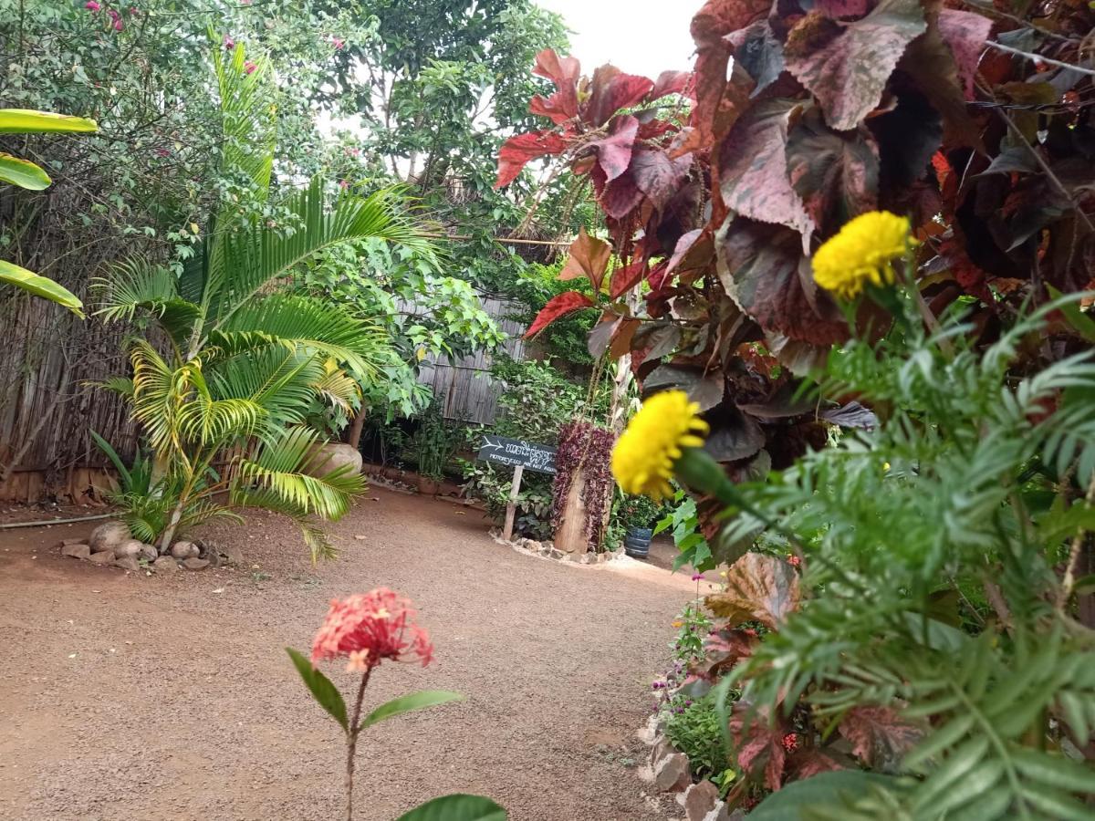 Tribal Village Homestay & Trekking 반룽 외부 사진
