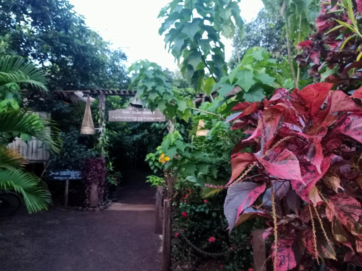 Tribal Village Homestay & Trekking 반룽 외부 사진