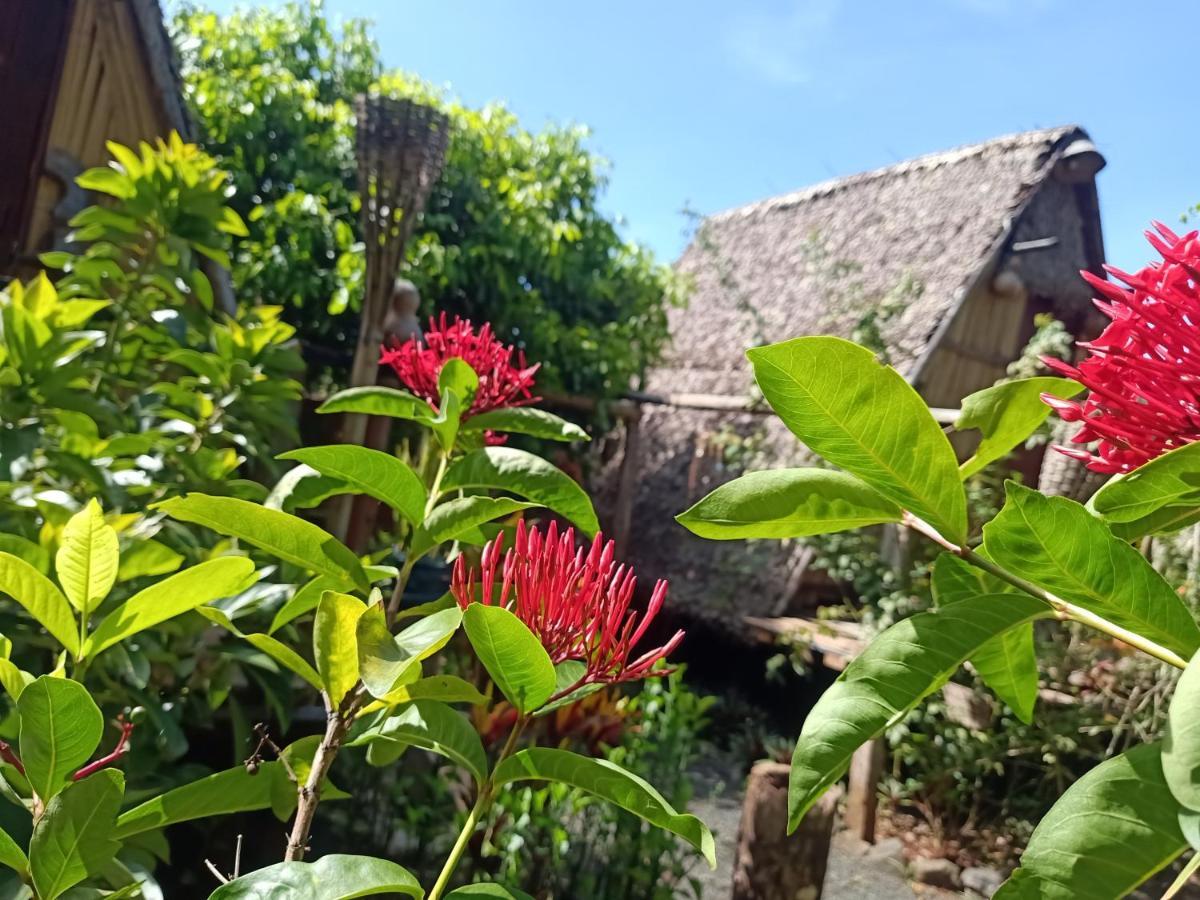 Tribal Village Homestay & Trekking 반룽 외부 사진