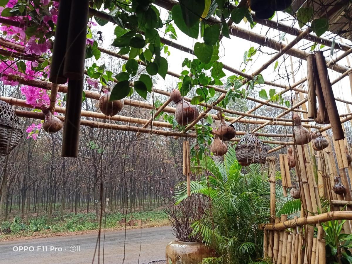 Tribal Village Homestay & Trekking 반룽 외부 사진