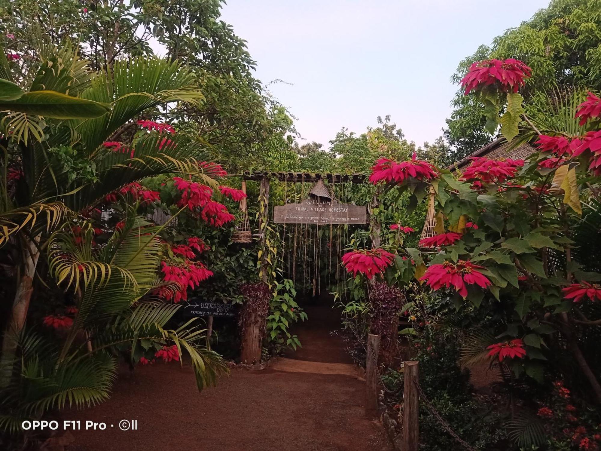 Tribal Village Homestay & Trekking 반룽 객실 사진