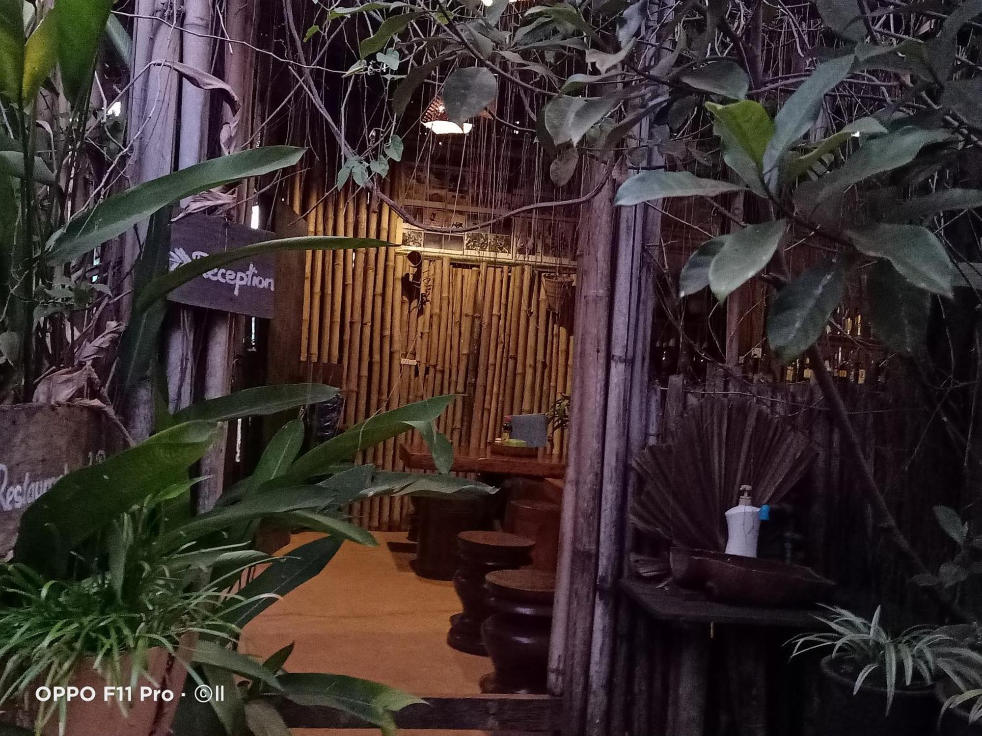 Tribal Village Homestay & Trekking 반룽 객실 사진