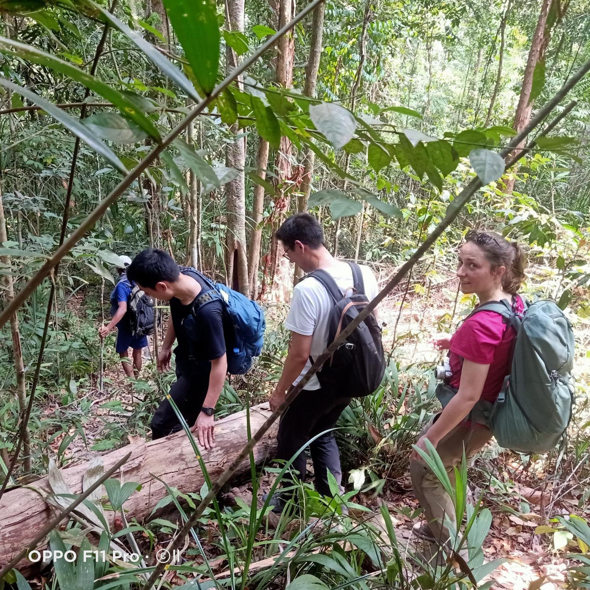 Tribal Village Homestay & Trekking 반룽 외부 사진